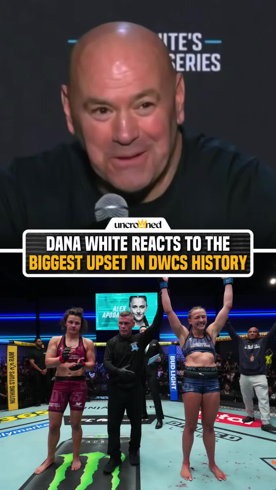 @arielhelwani