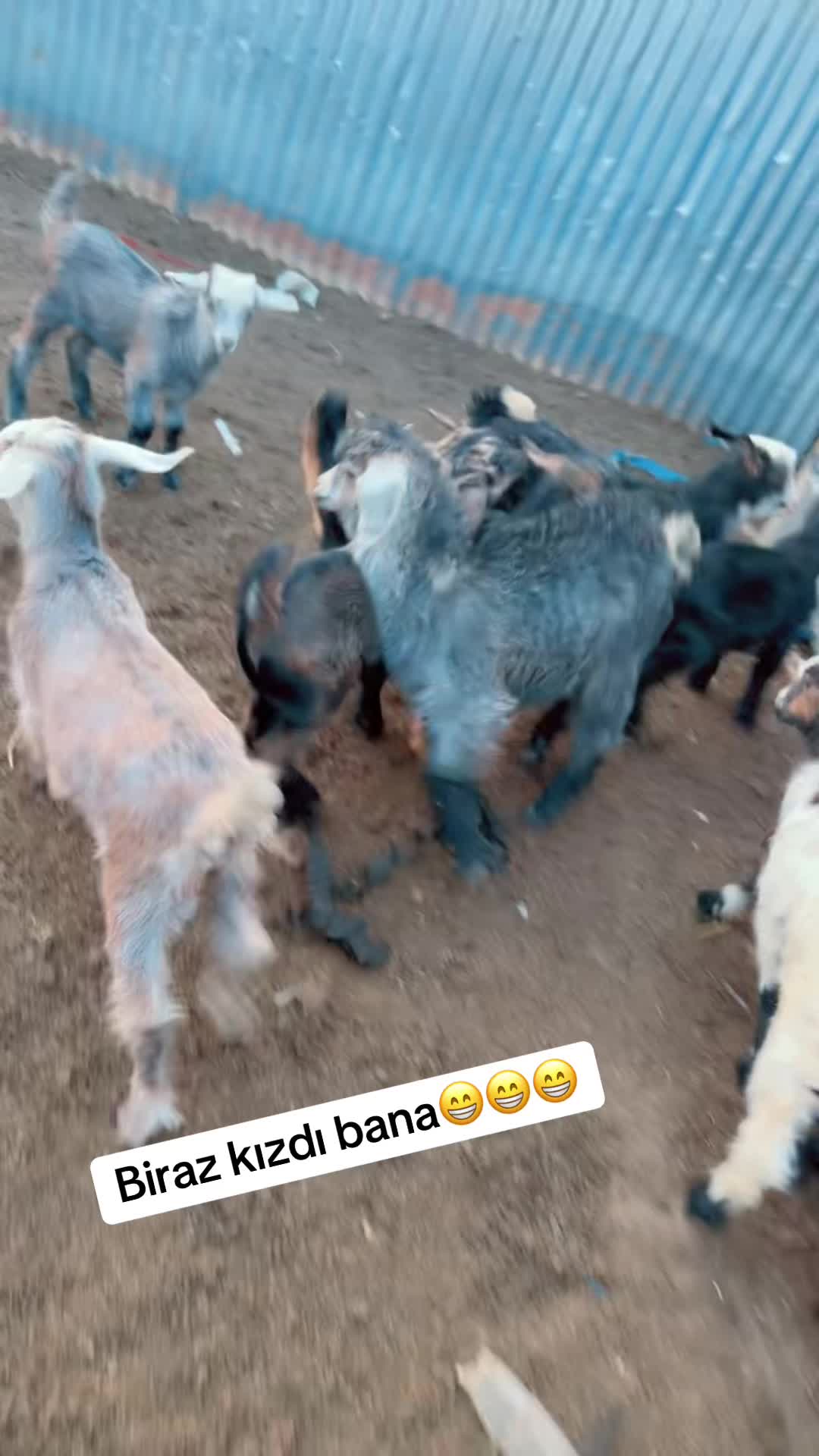 @&Ouml;zkan &Uuml;z&uuml;m