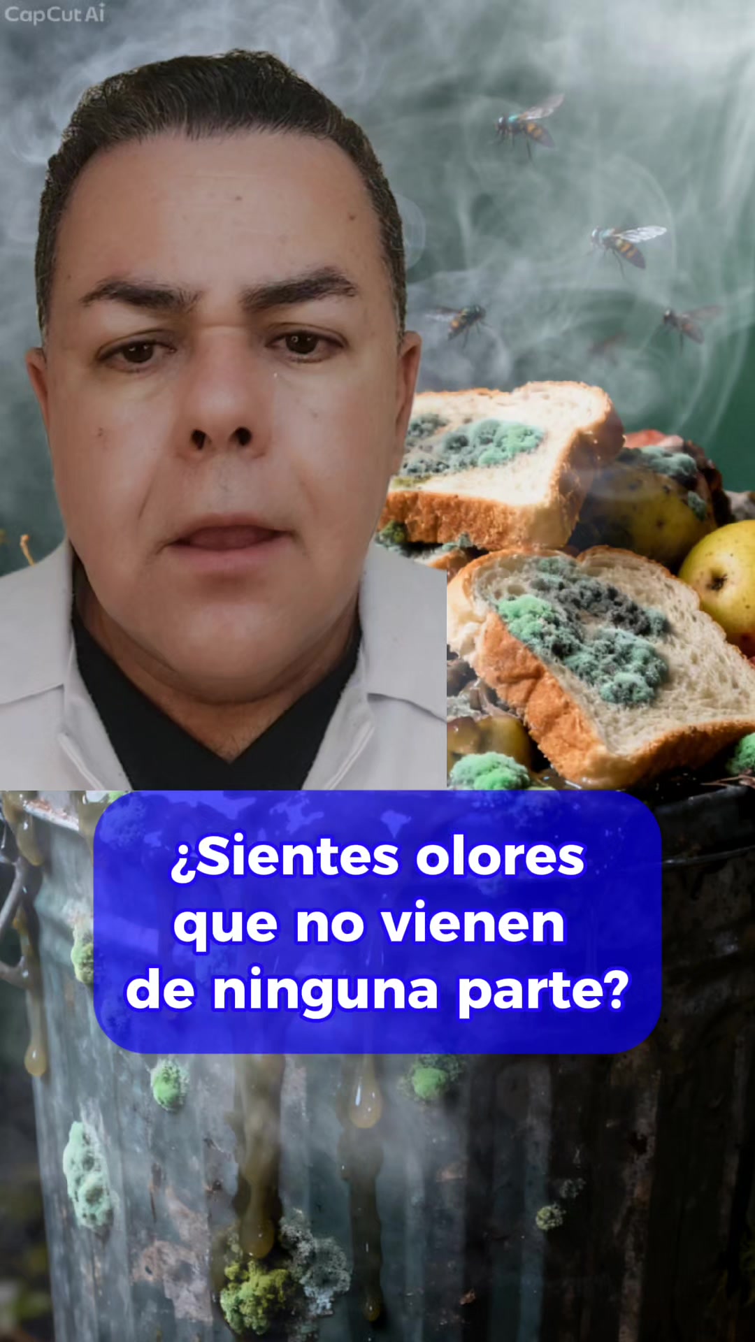 @roberto avaria
