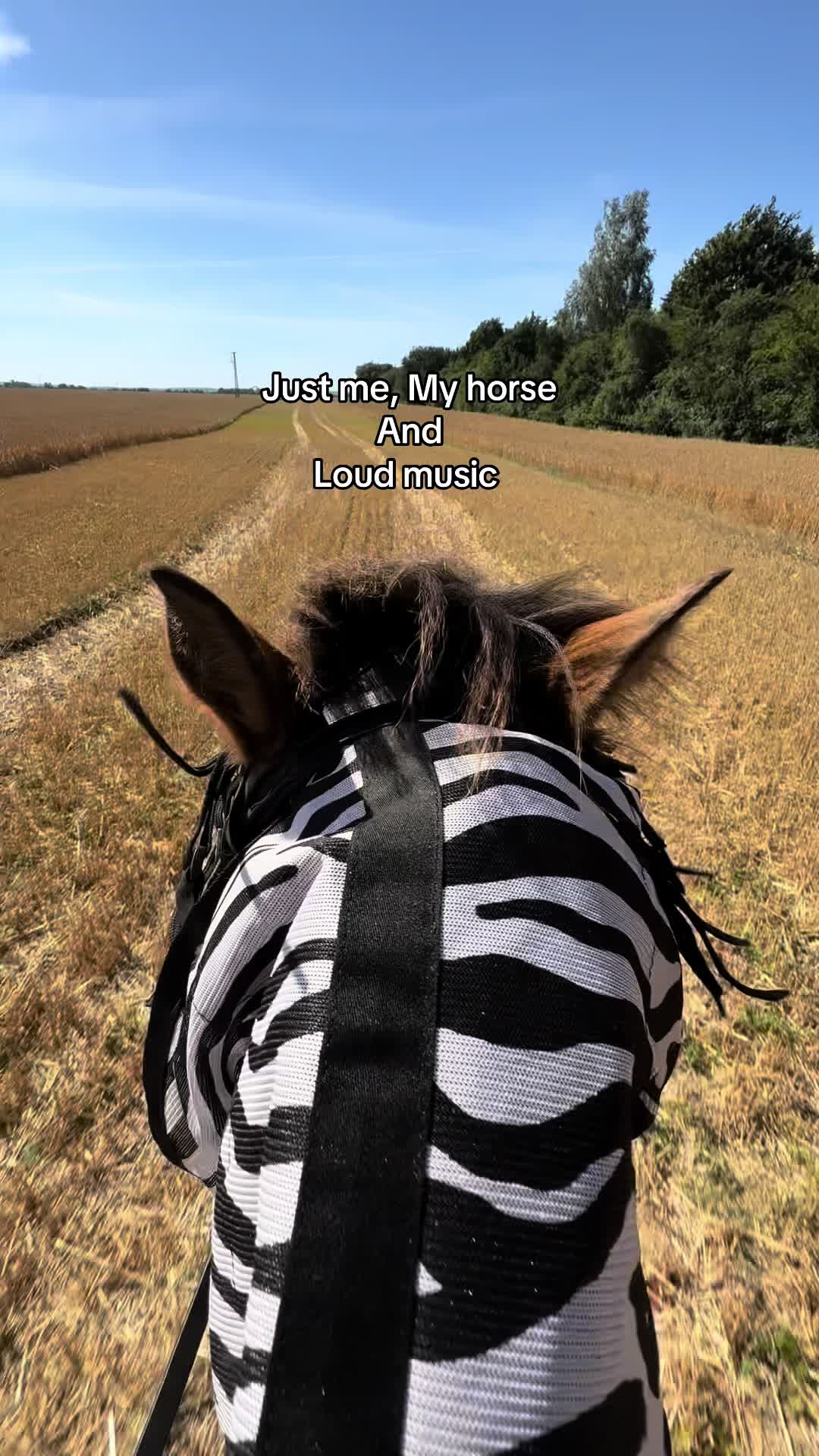@𝖬𝖺𝗒𝖺 ❦