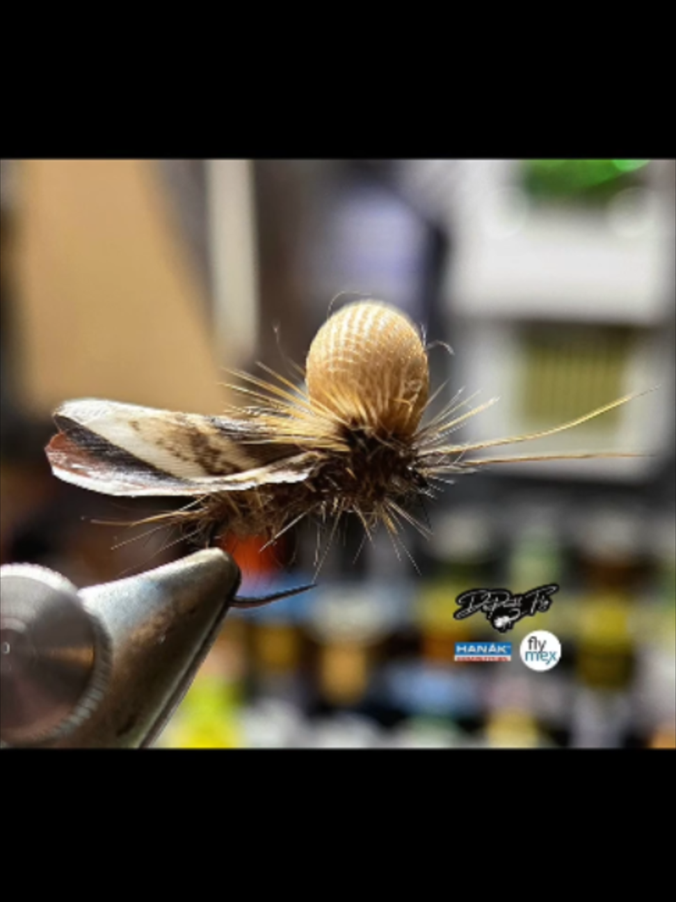 @veevusFishing