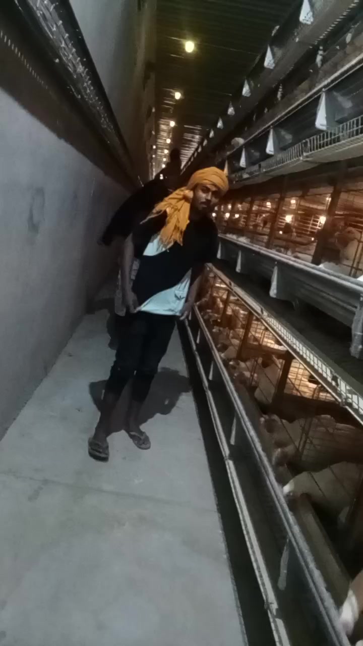 @siva