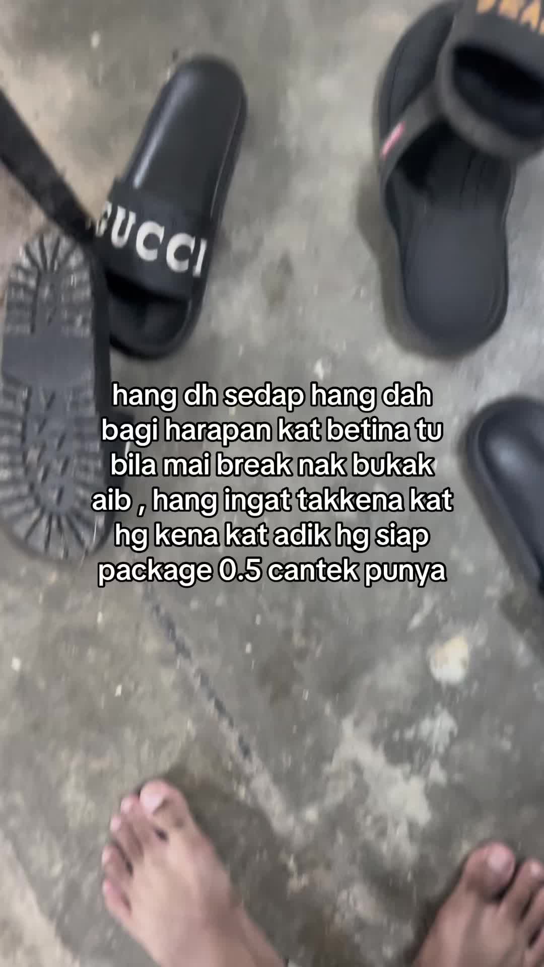 @๐ ๐ โ โฌ โ๏ธ