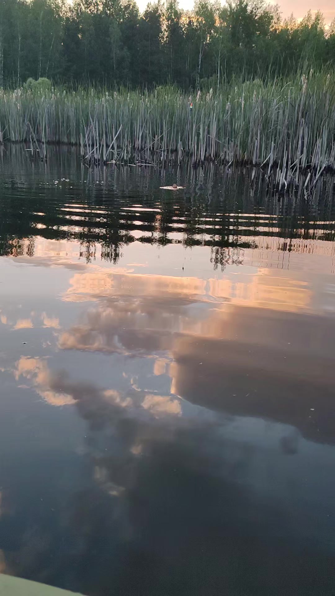 @(ЖОР)Жизнь Одного Рыбака