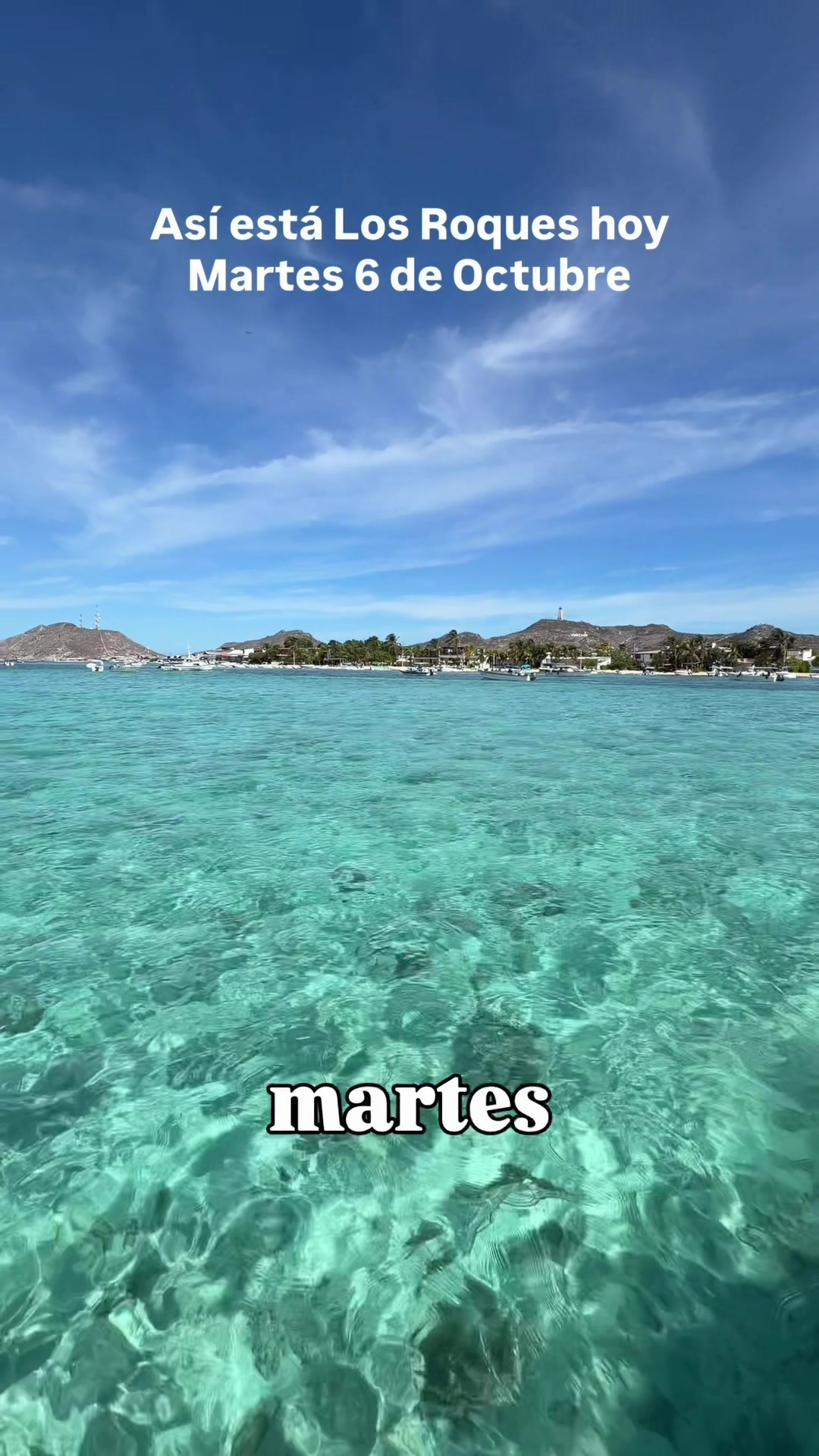 @Tuna Los Roques 🌵