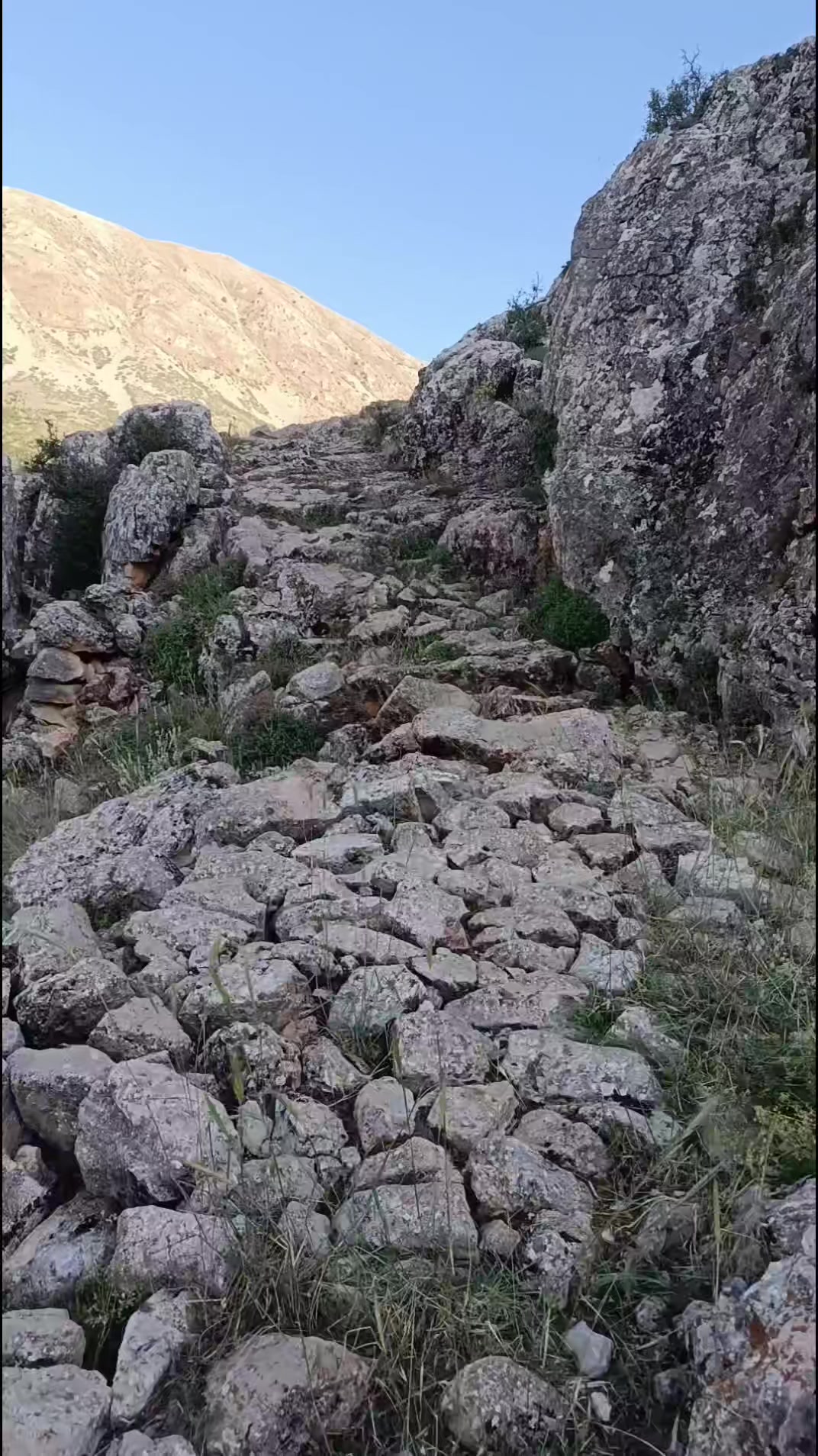 @Nazif Geriş