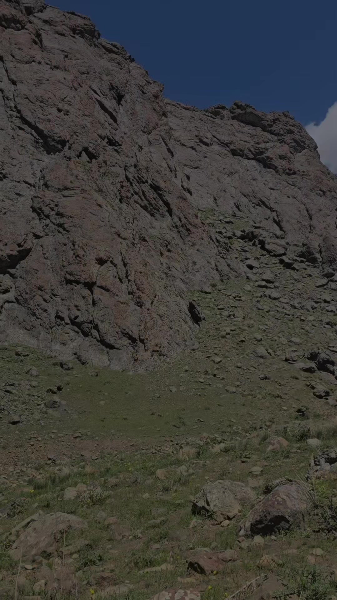 @65berçem34