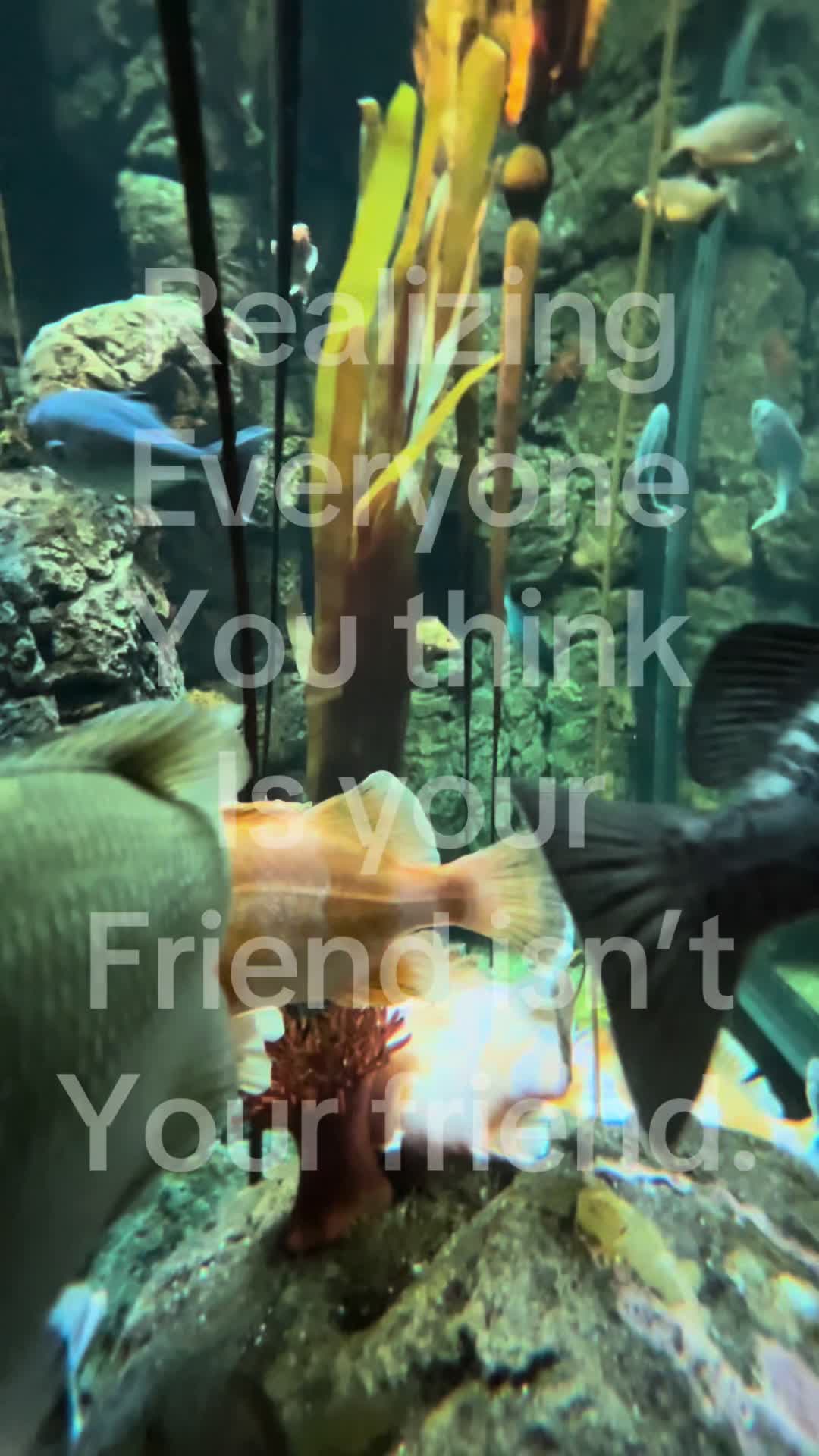 @Leavemealone