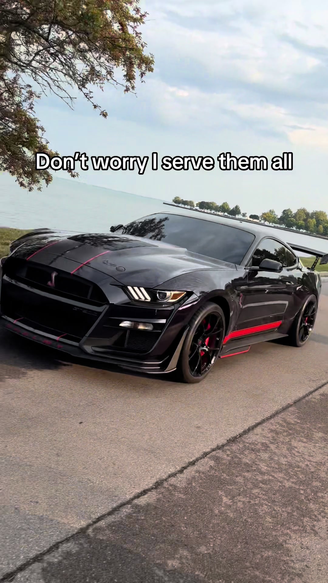@Horizon Speed