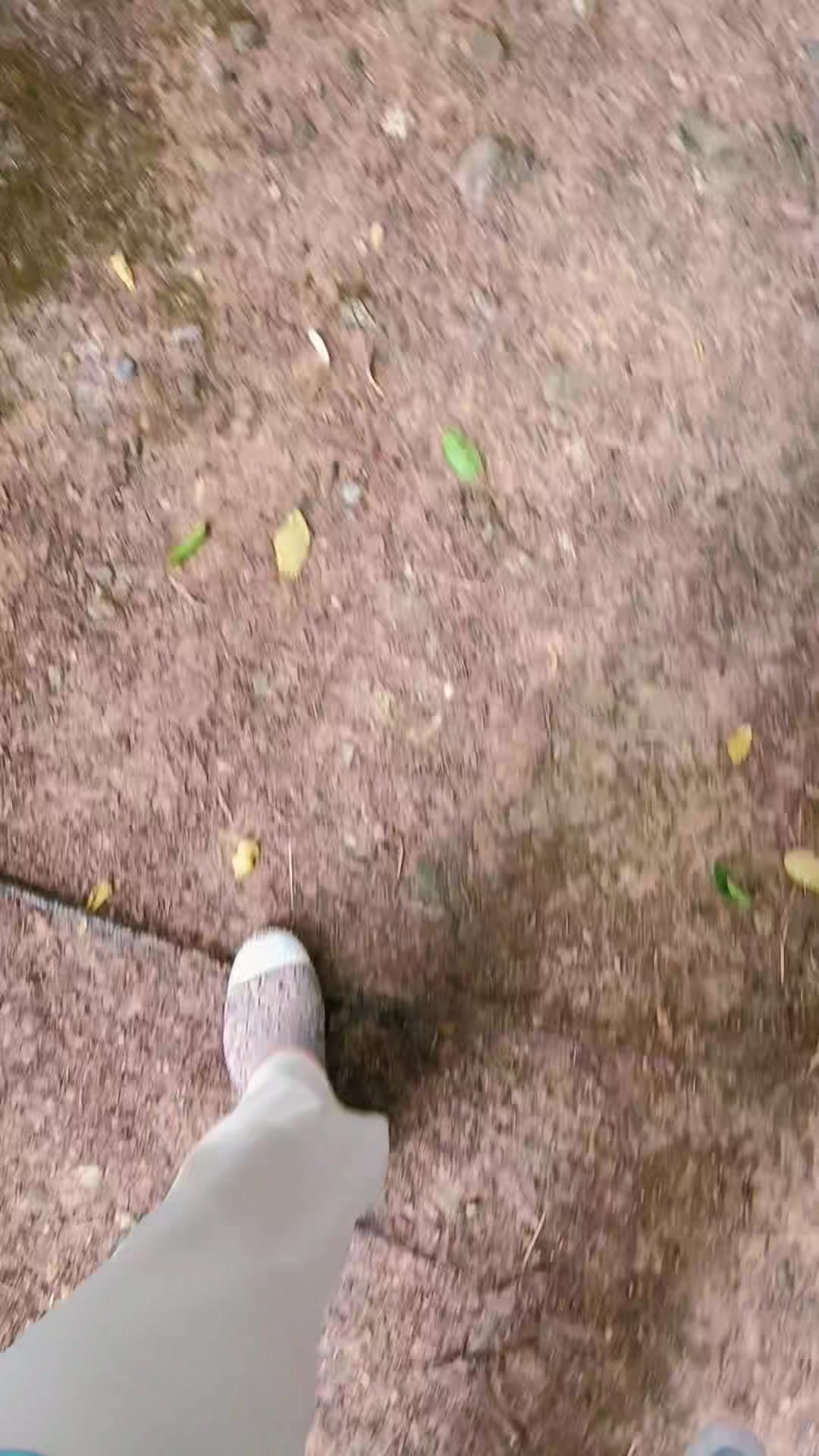 @🌟🐦🔥🇭 🇦 🇾 🇦 🇱 🐦🔥🌟