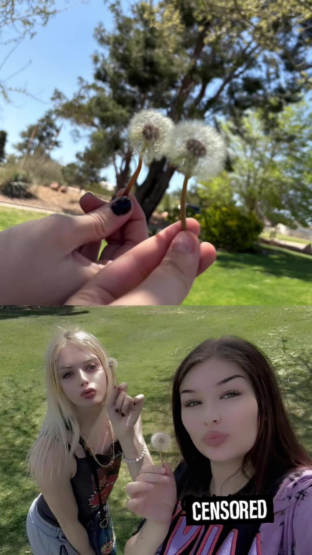 @Patzdoll