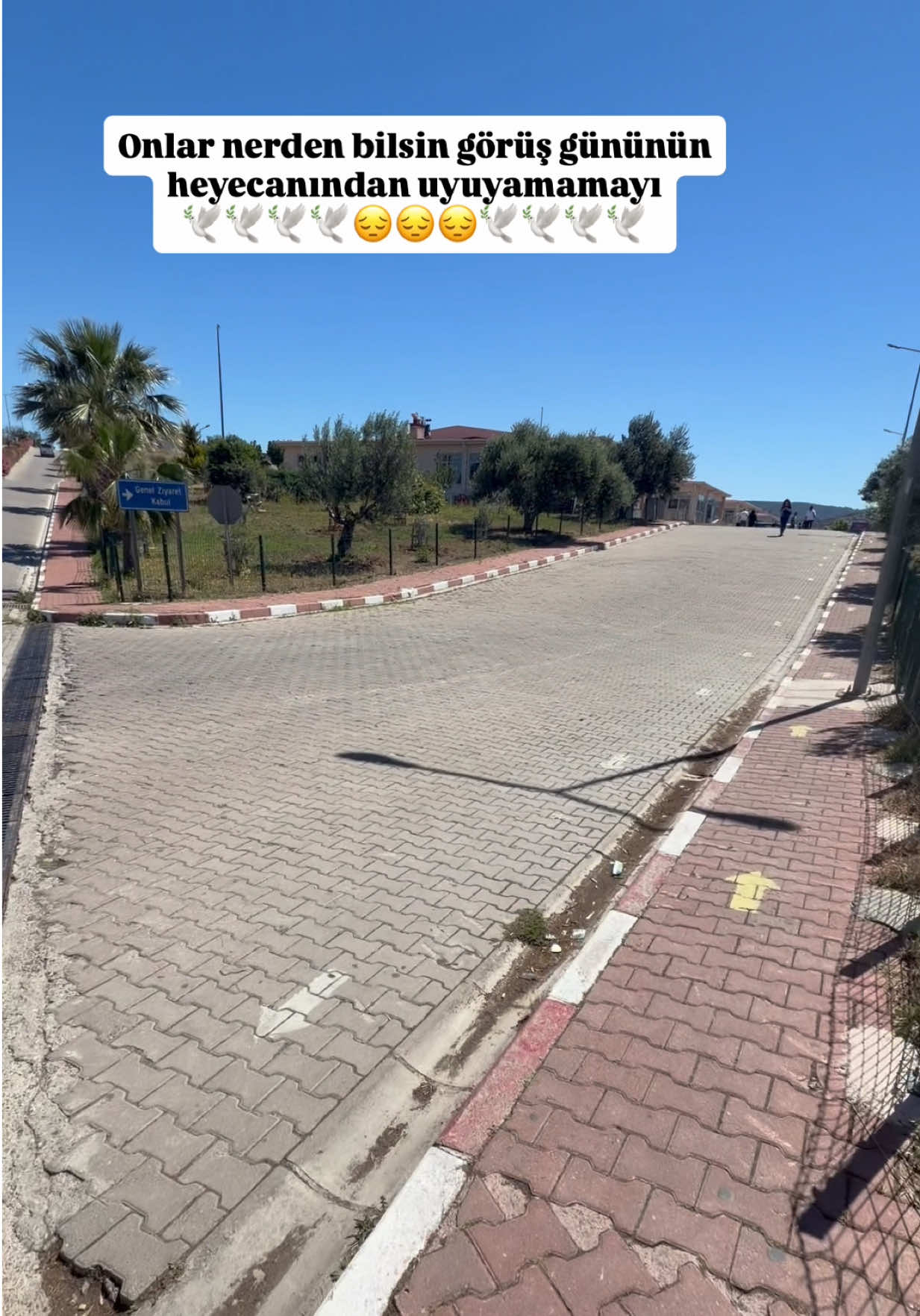 @Bircan Aydemir Arasan 21✌️35