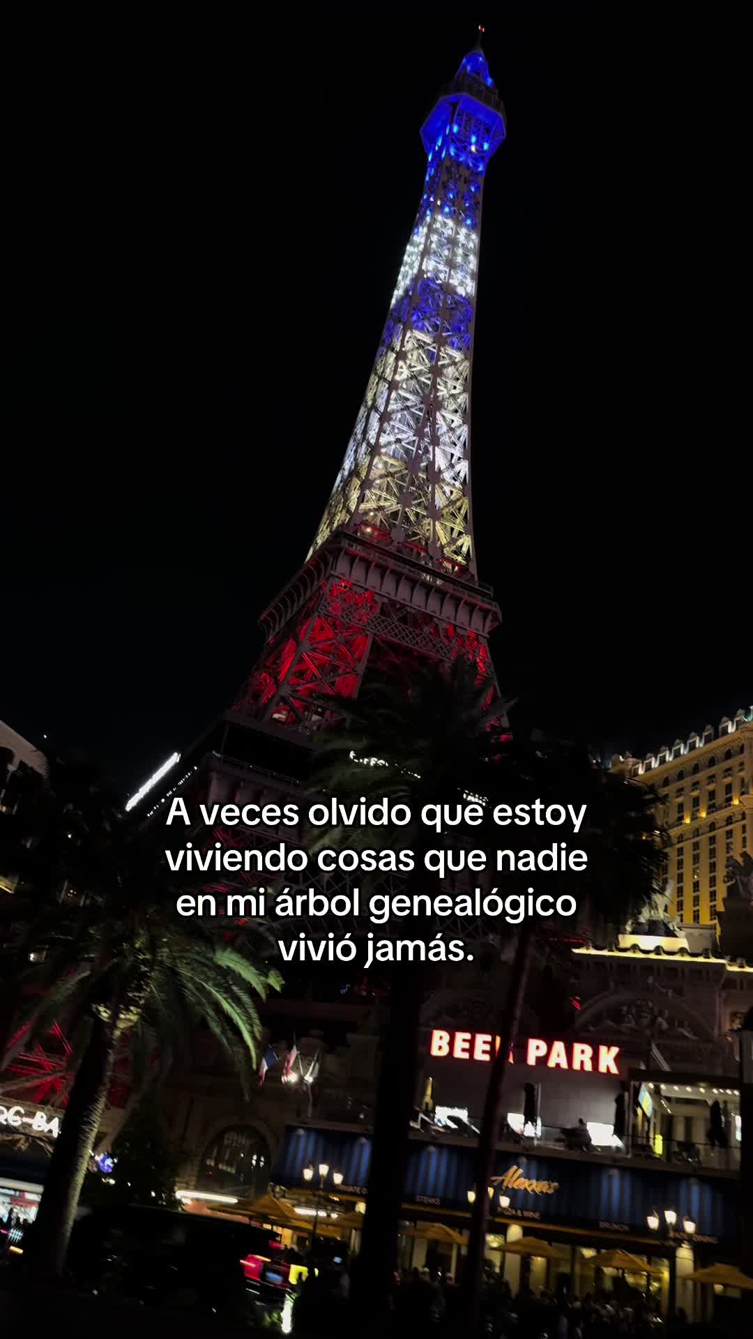 @Antonella Ruiz