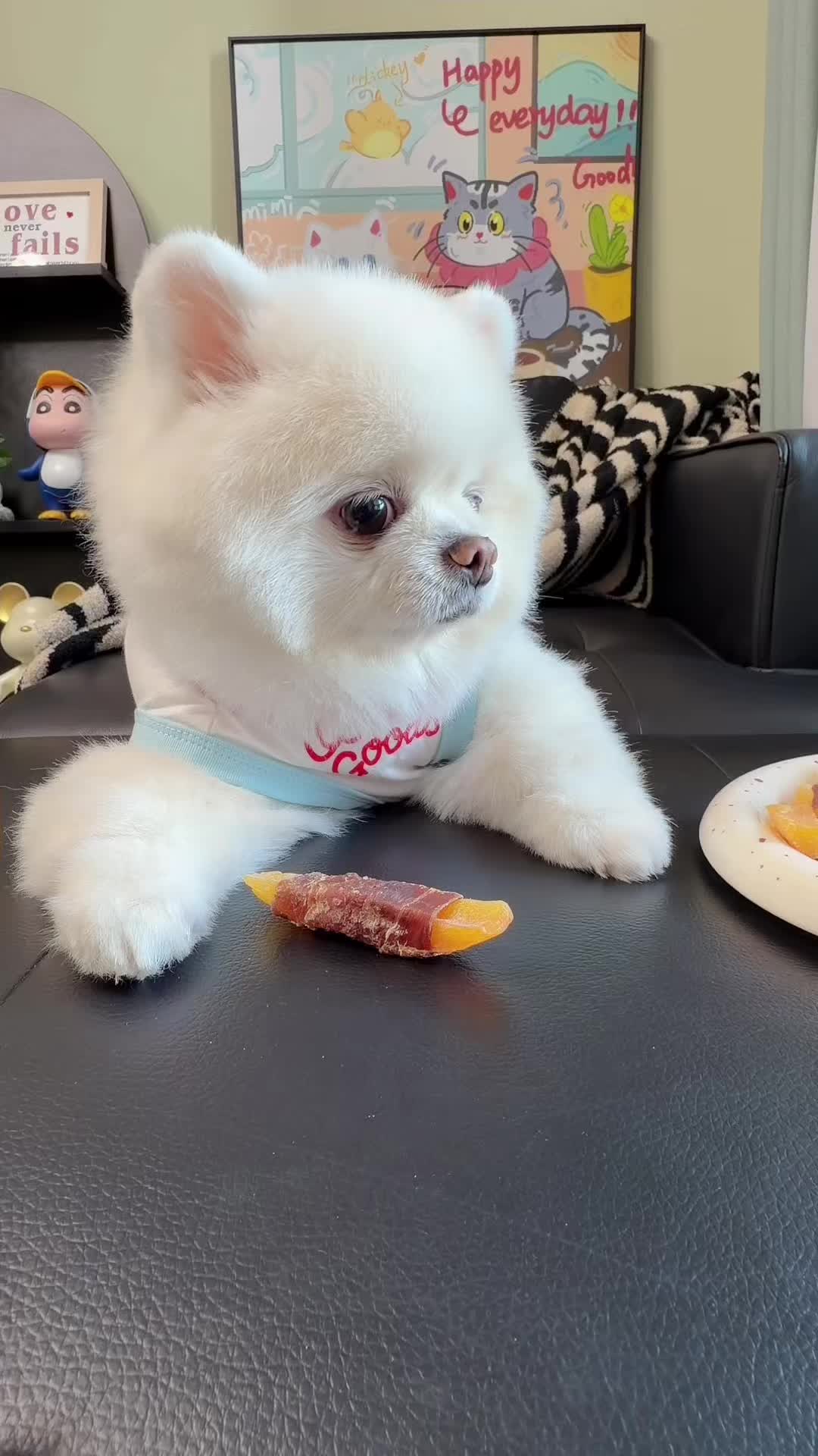 @Pet World Hub