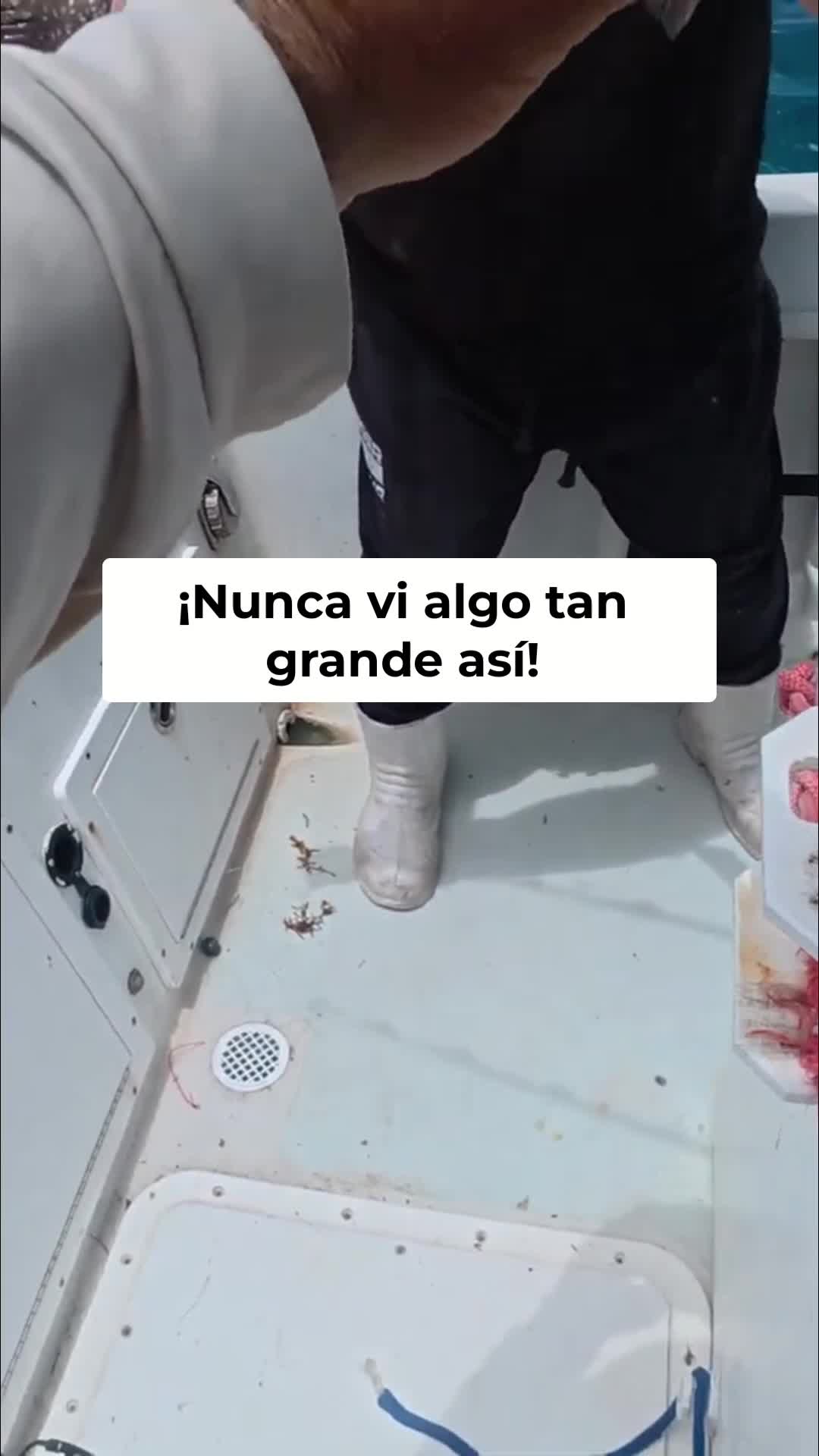 @Raul-Raul