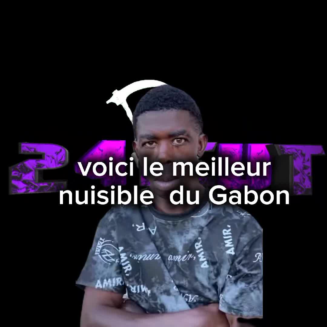 @241𝑪𝑼𝑻™