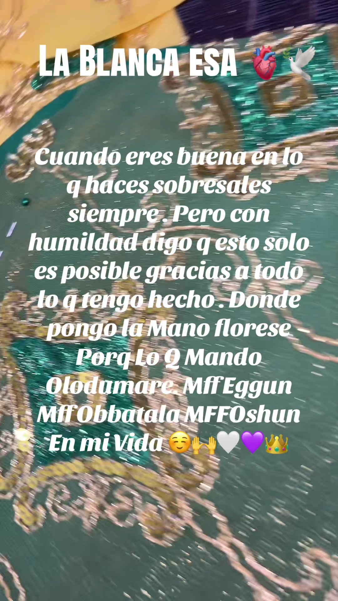 @Lacasadeeggun🤍🖤