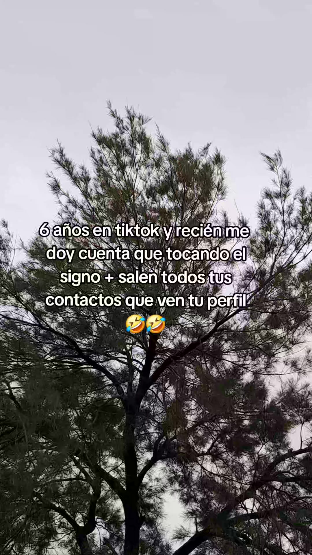 @Ema Martinez