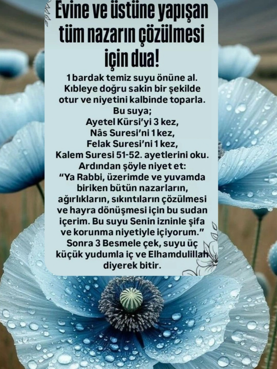 @hayat nereye gidiyor