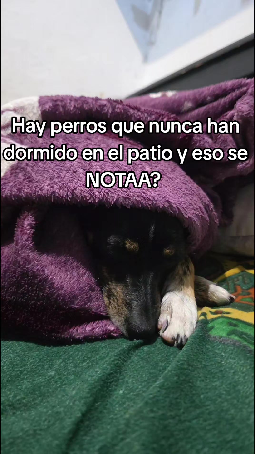 @&hearts;️𝙔𝙖𝙣𝙨𝙞 𝙈 🇨🇴