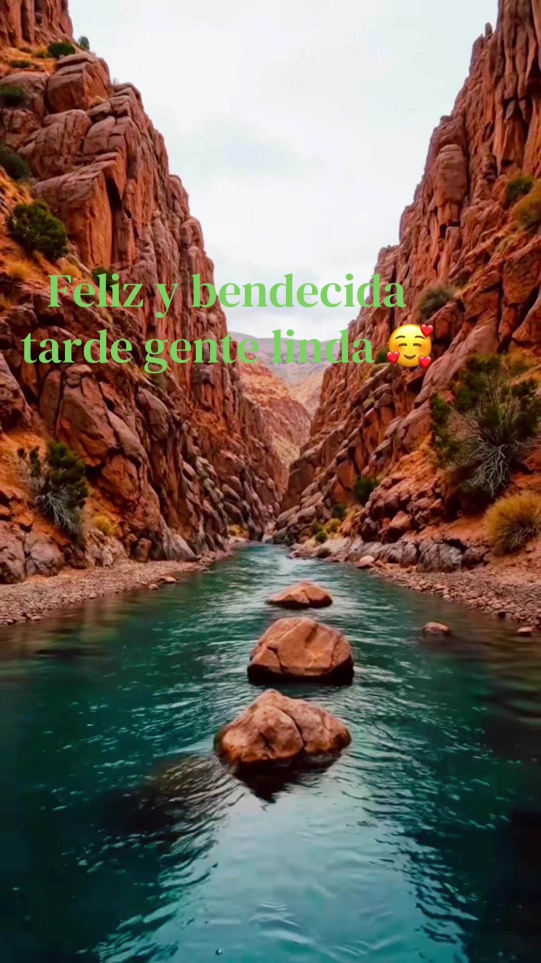 @JC ♥️Tu Consentido