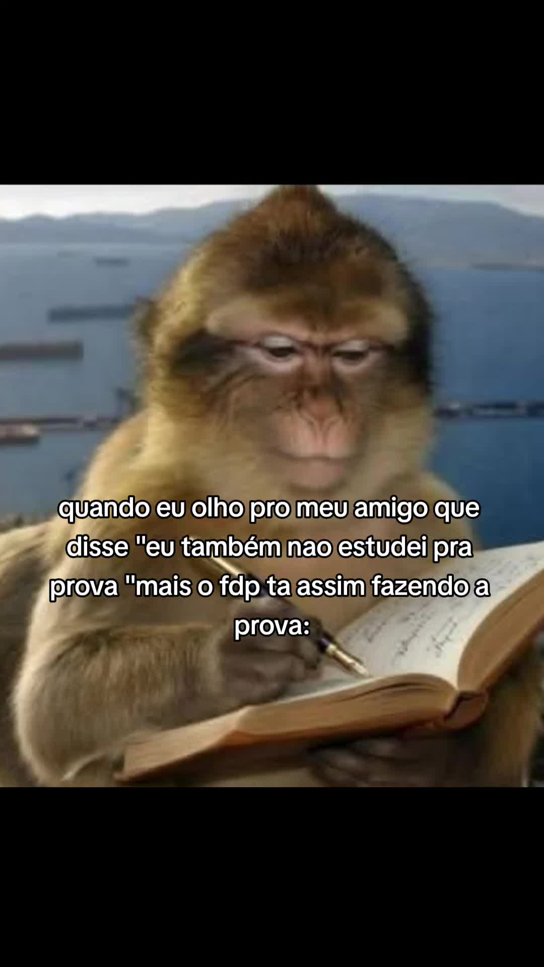 @sigo.de.volta.em.1 segundo🟢