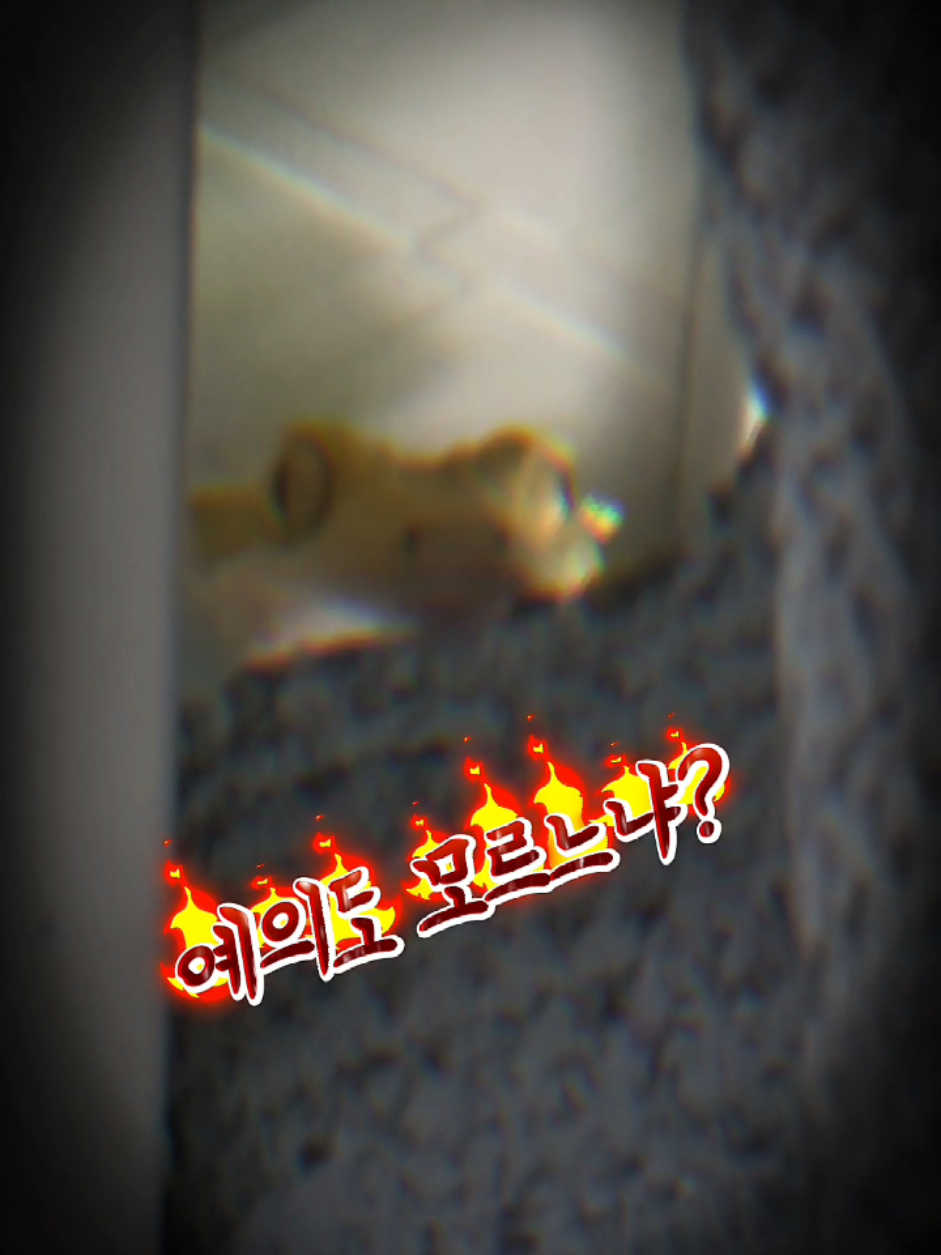@황여사