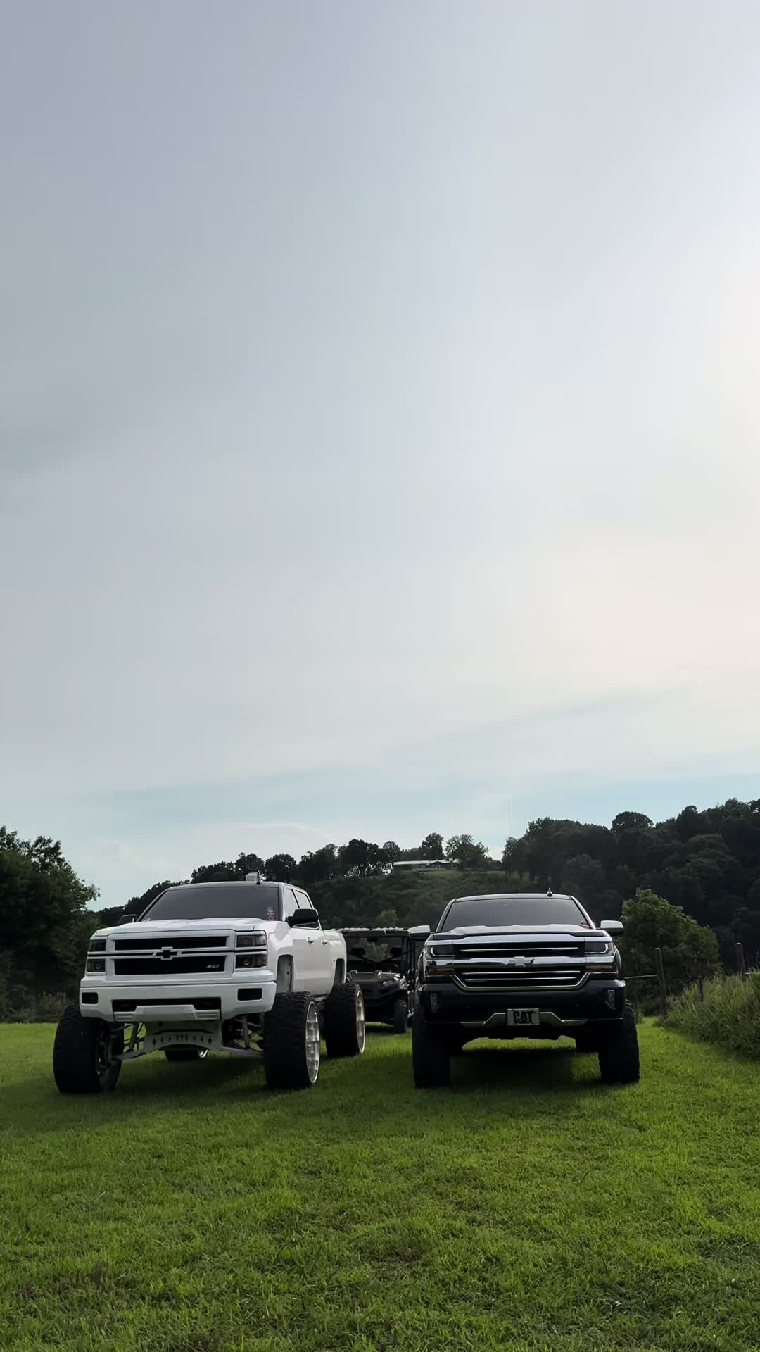 @evansteinertt