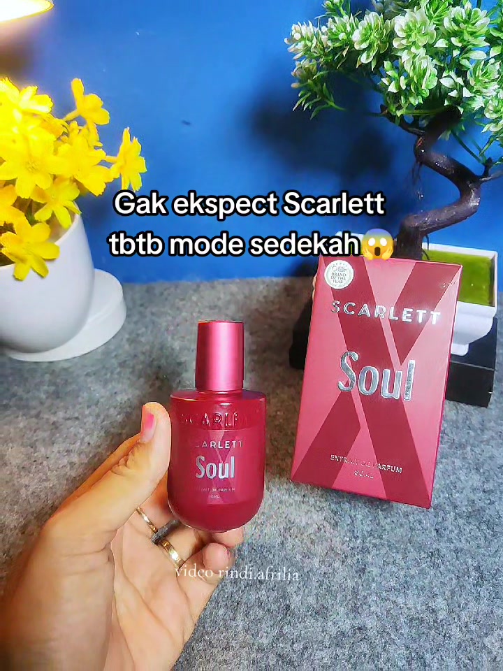 @Rindi Afrilia𝜗𝜚✨