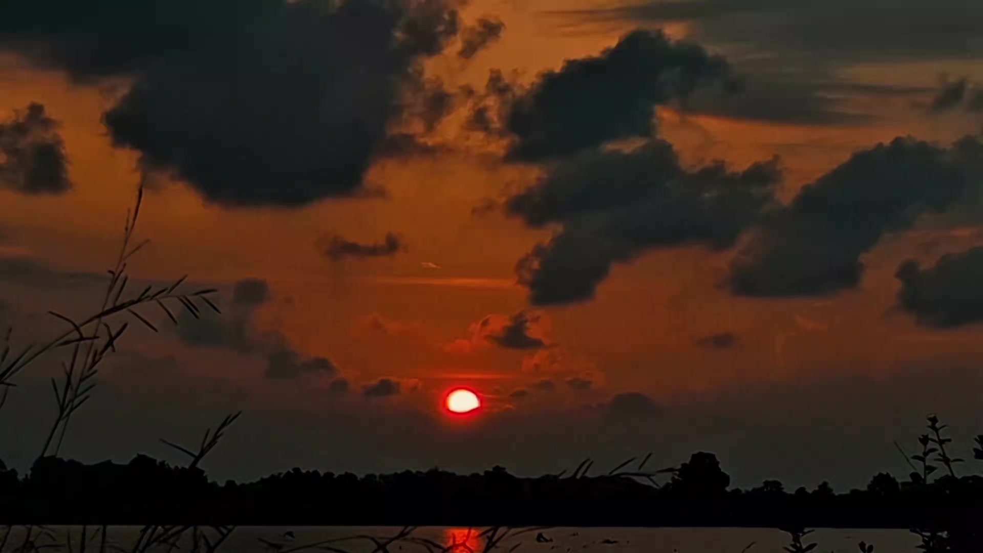 @𝑅𝒶𝒹𝒾𝑜 𝑀𝓊𝓈𝒾𝒸 🎶