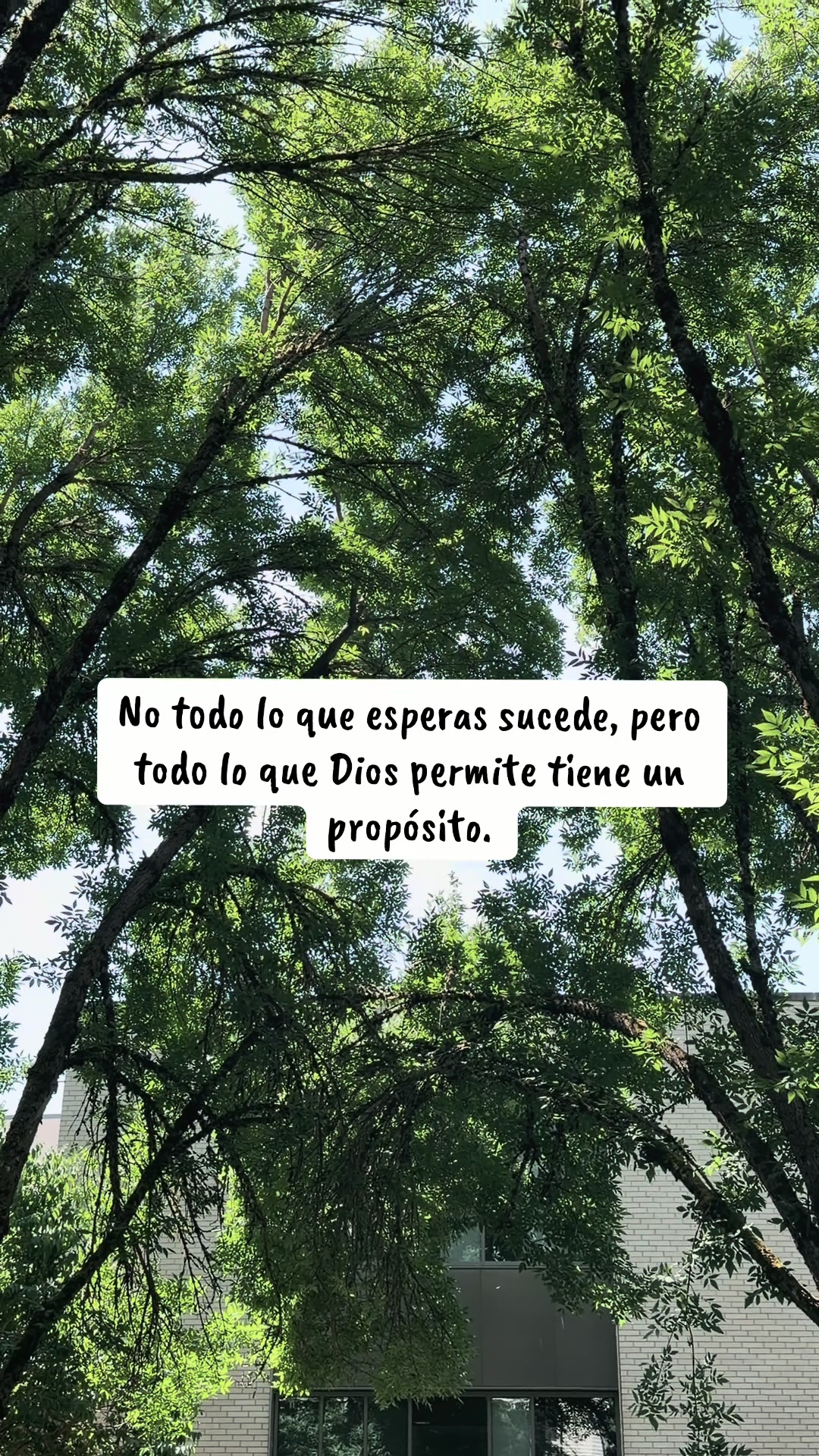 @tenemosunproposito