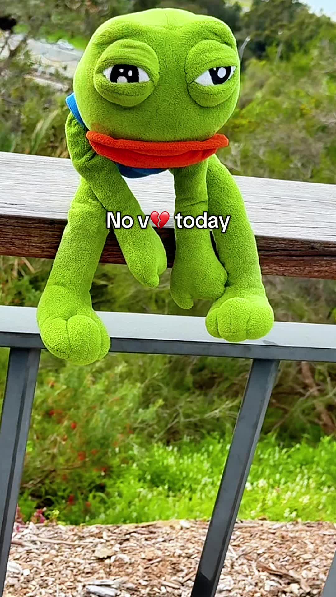 @AdoptAPepe