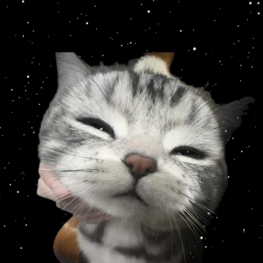 @FluffyTales