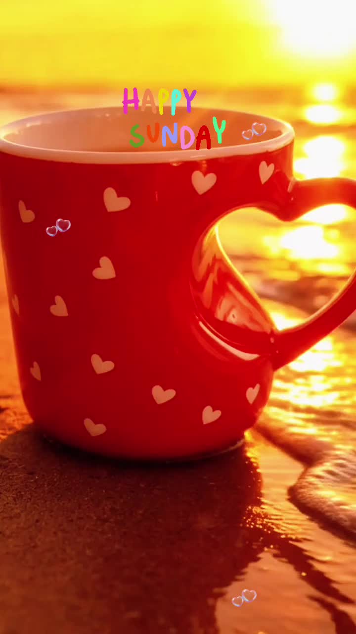 @🦋🤍Elvi🤍🦋