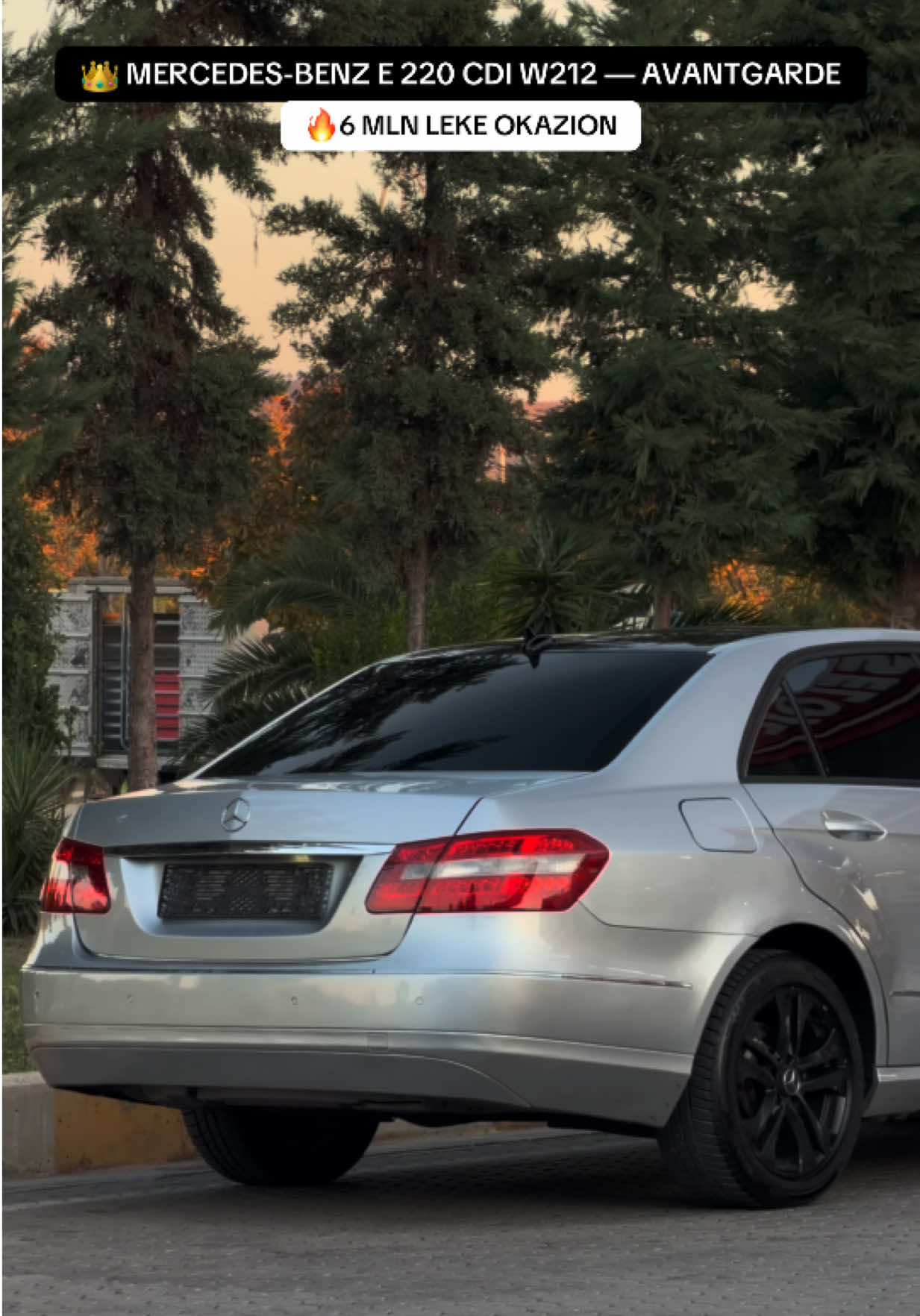 @AUTO ALPHA 🧿