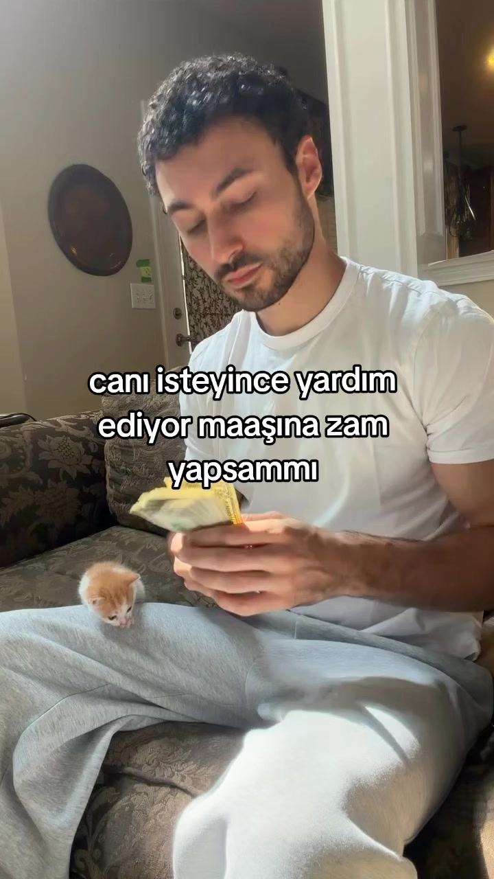 @rolland