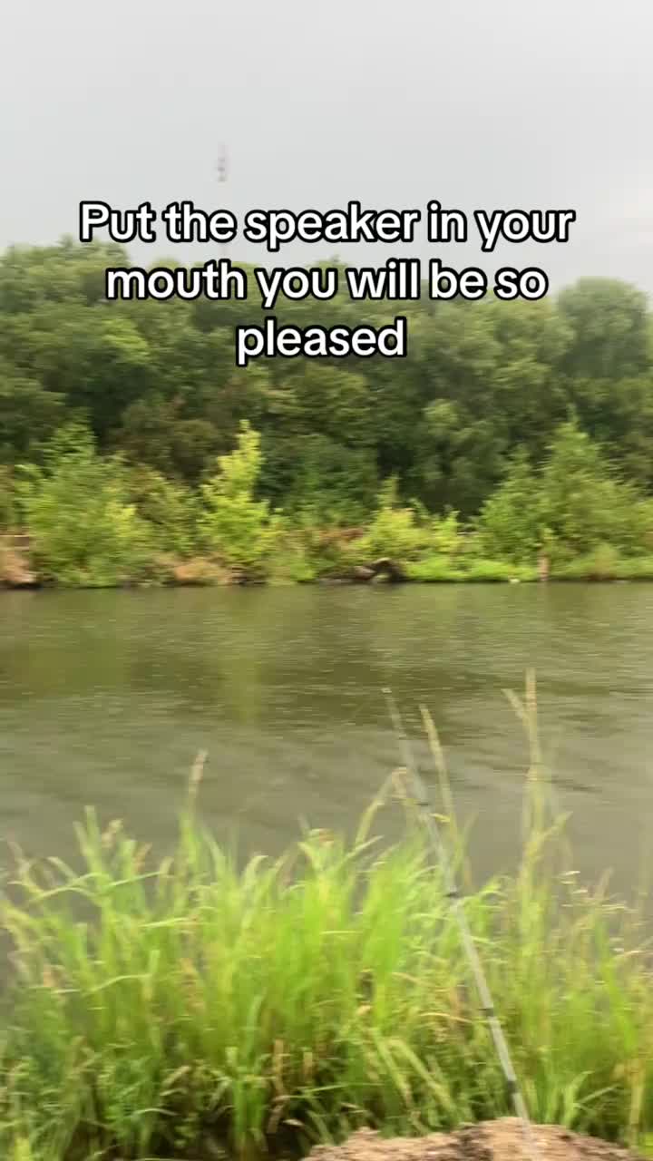 @Toyquest101