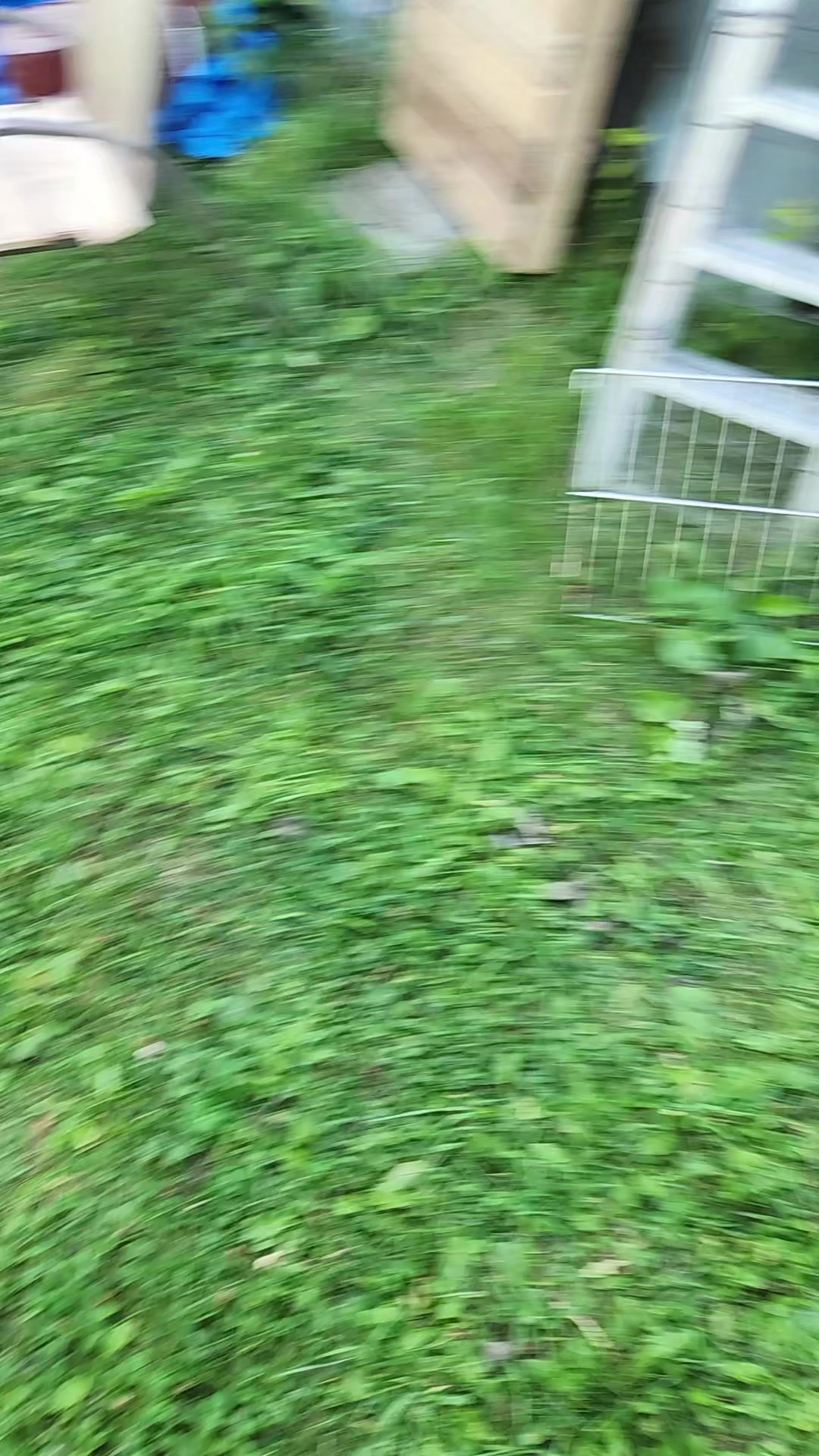 @gg