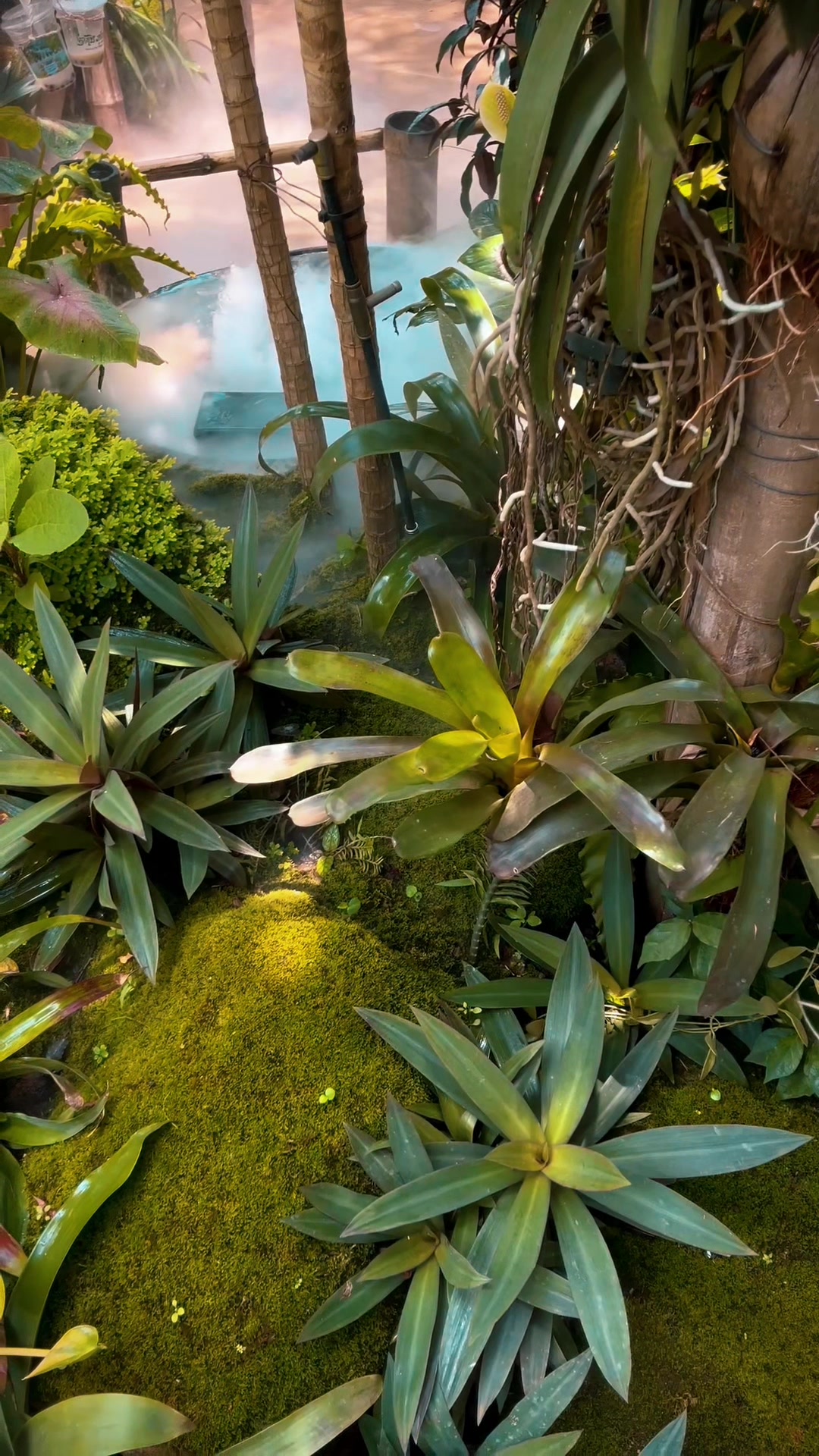 @ពិភពរុក្ខជាតិ - Plants World