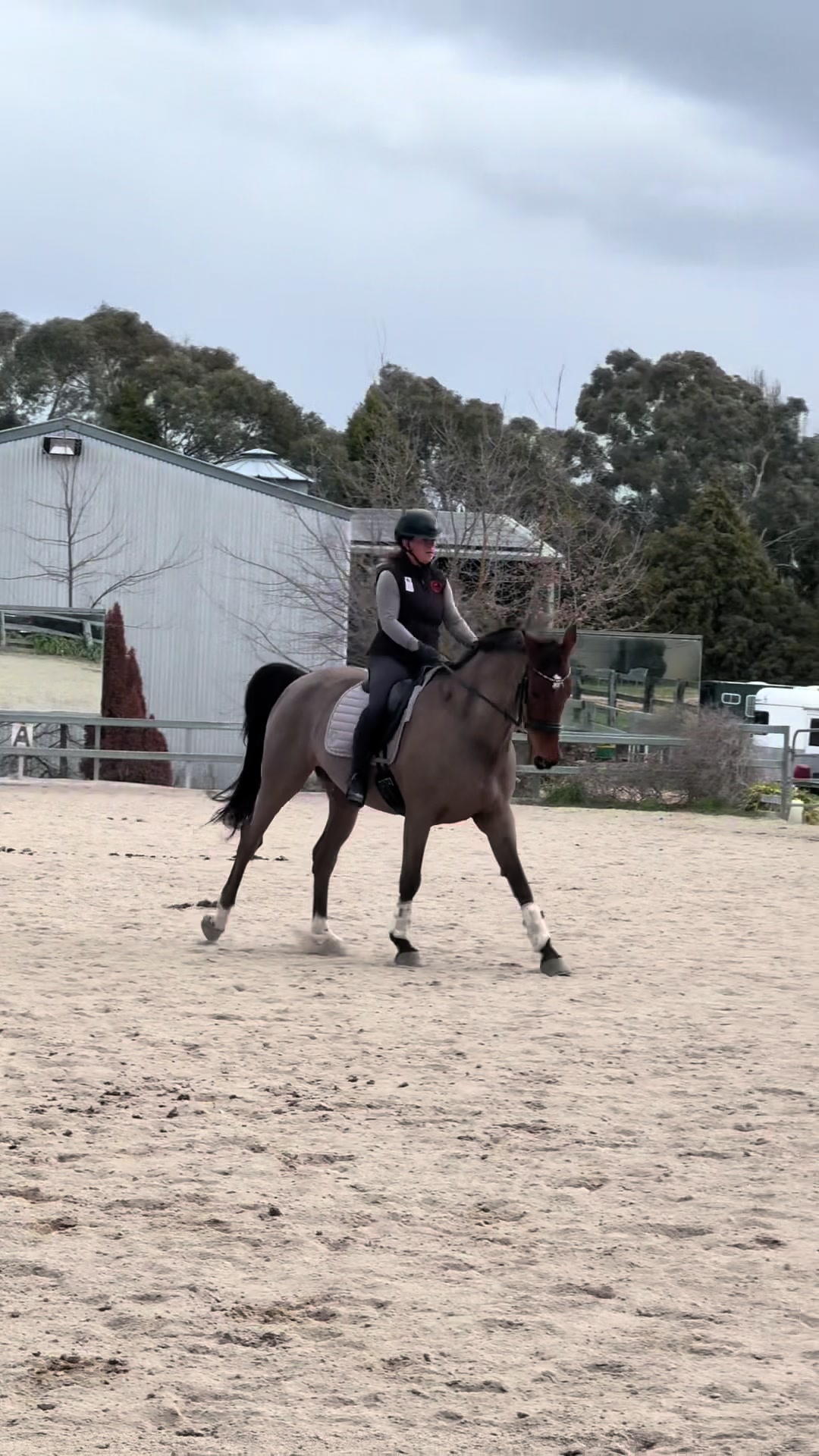 @TDDG Equestrian