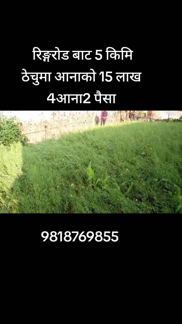 @9818769855