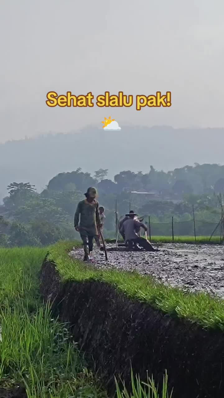 @Dedz_Atmj