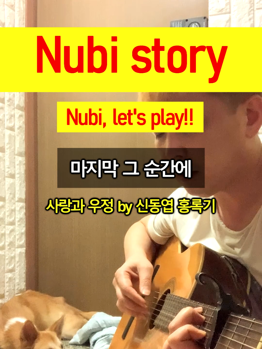 @누비★스토리 Nubi story