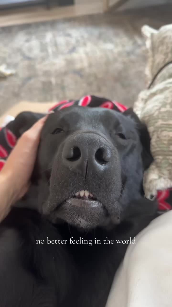 @ghostblacklab