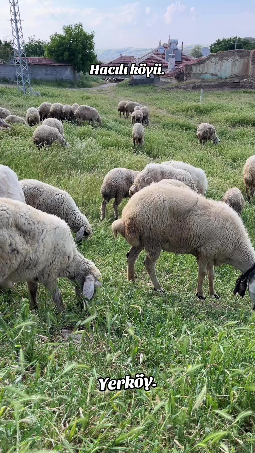 @Yerk&ouml;y Hacılı K&ouml;y&uuml;