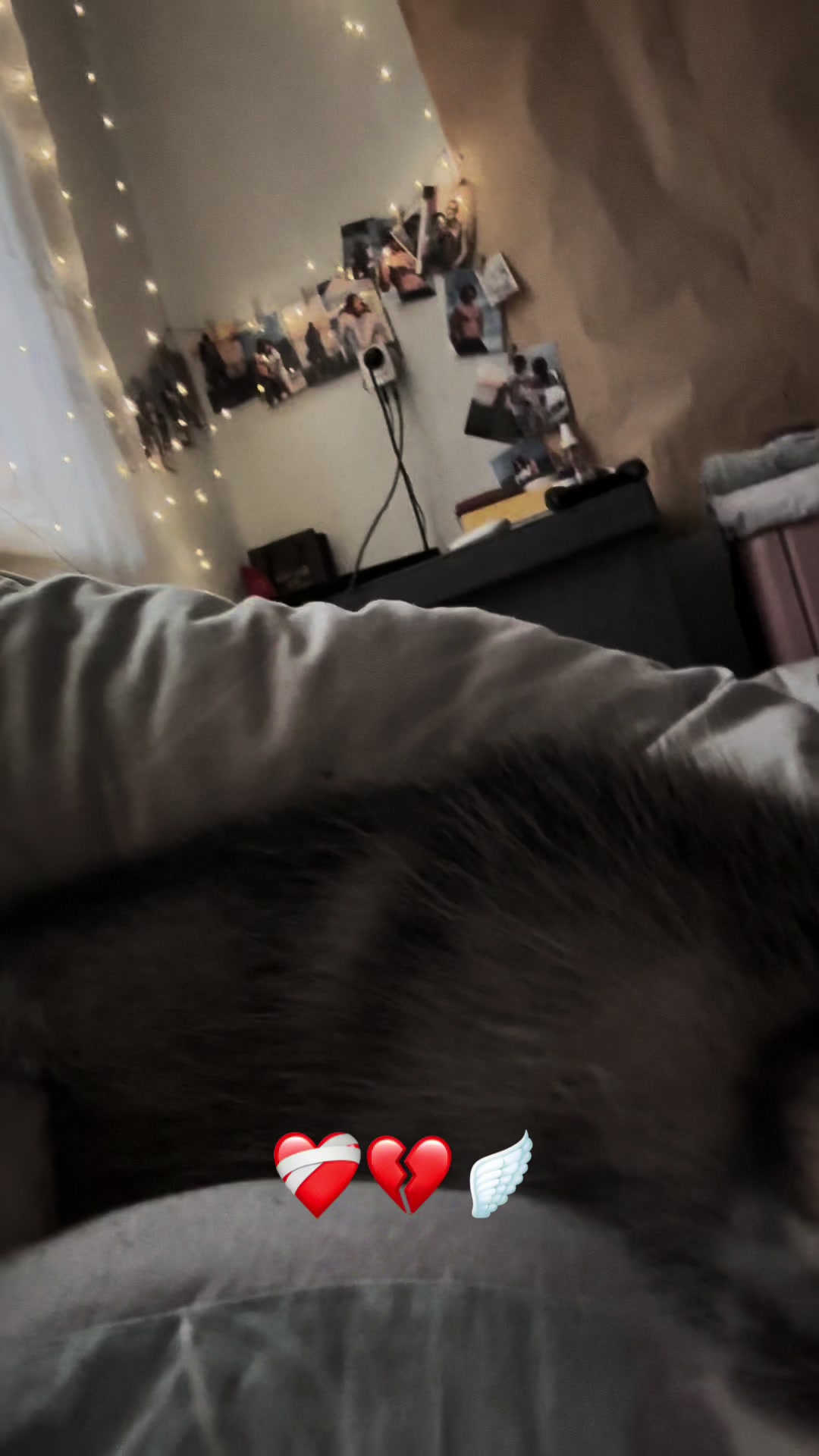 @Aleksandra ❤️