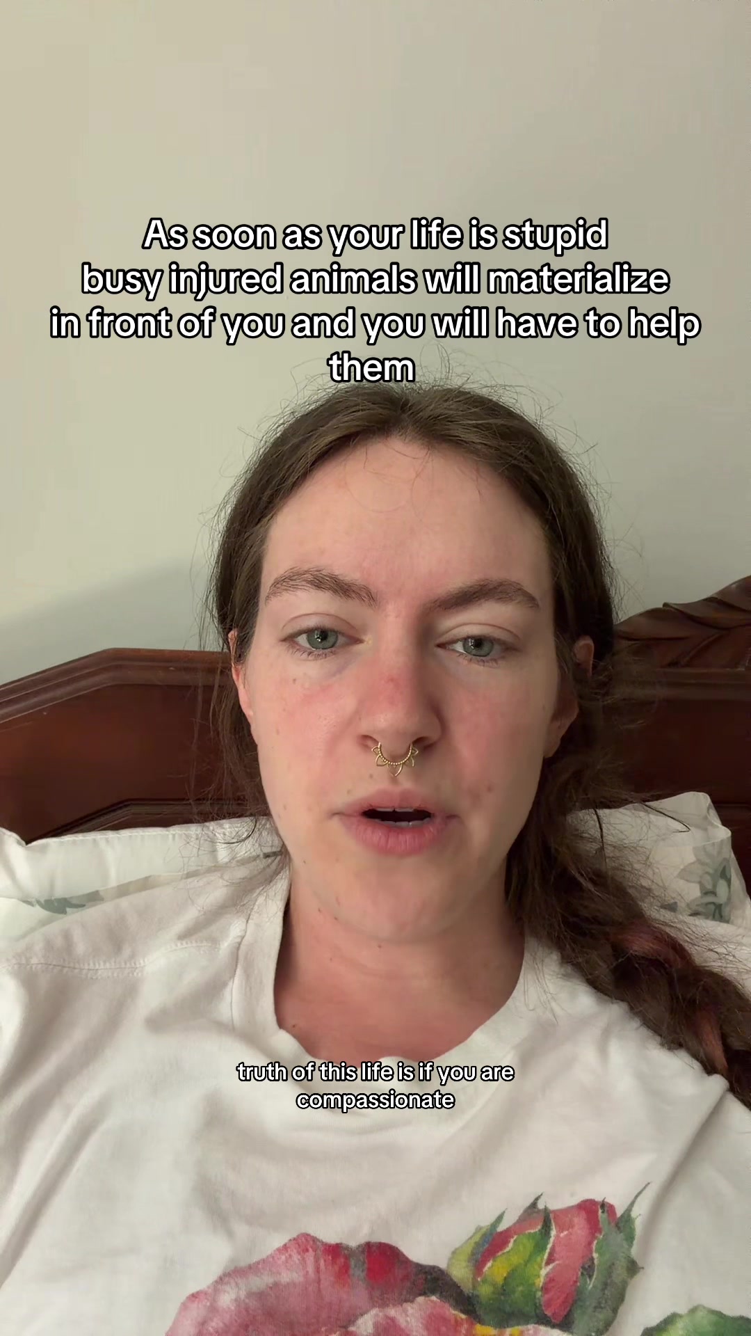 @momoandtea