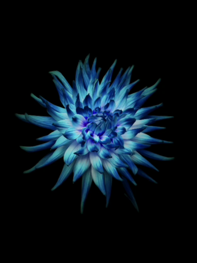 @𝟑𝟎𝟑 𝐑𝐞𝐱