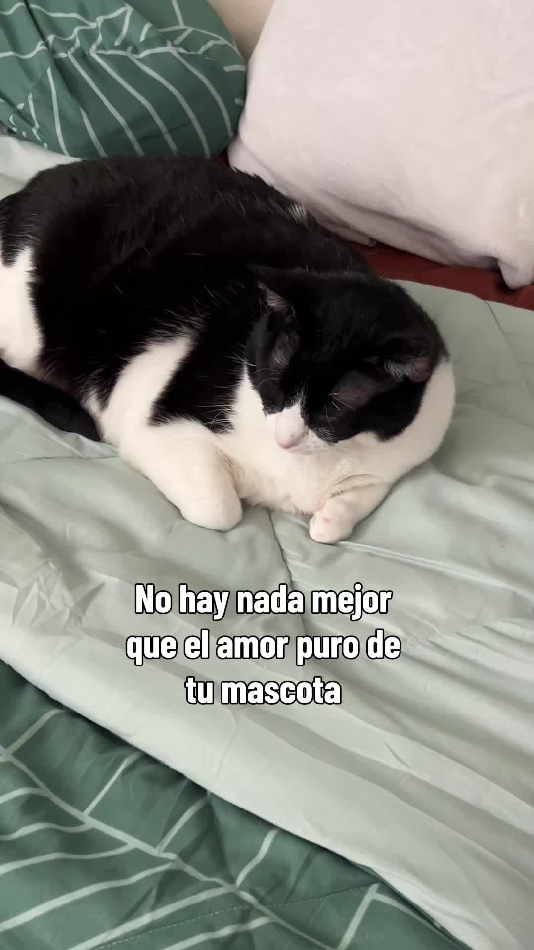 @Marie Merc&eacute;des