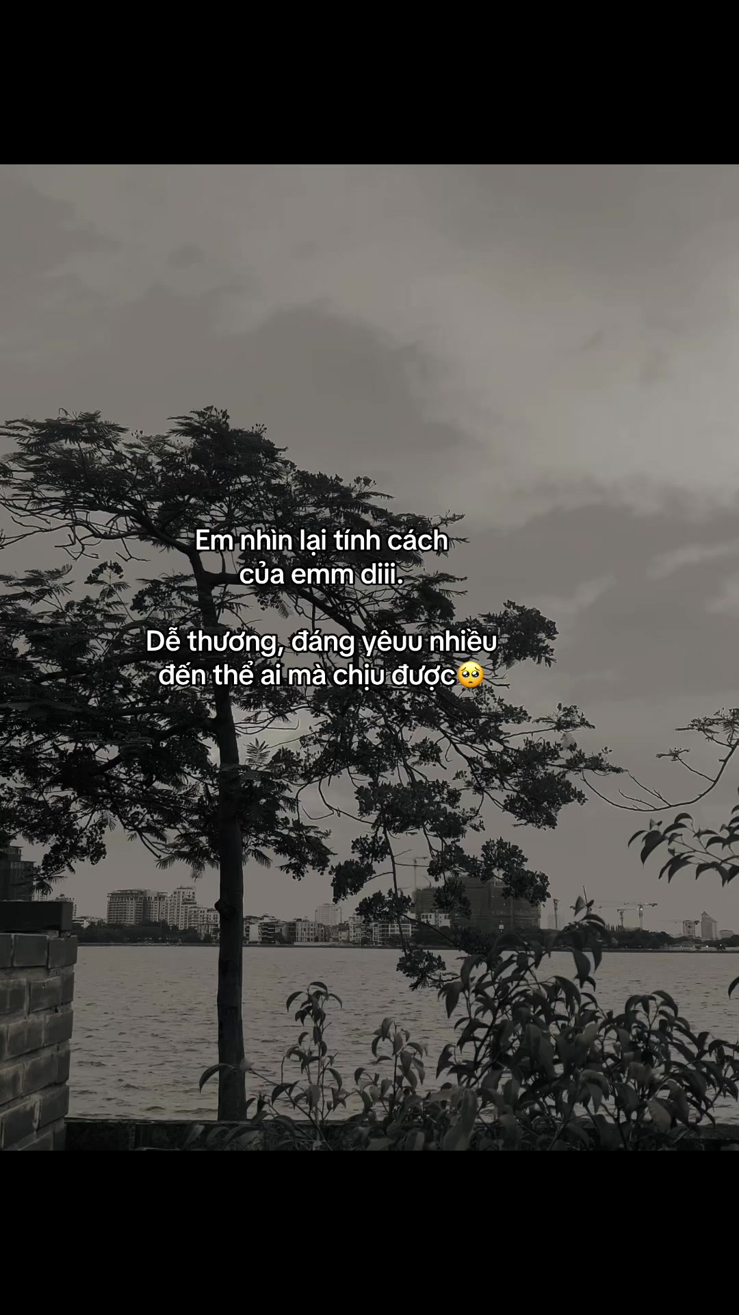 @𝓜𝓲𝓷𝓱 𝓒𝓱𝓲ế𝓷